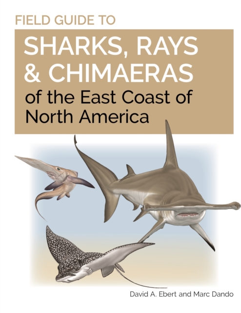 Field Guide to Sharks, Rays and Chimaeras of the East Coast of North America, Paperback / softback Book