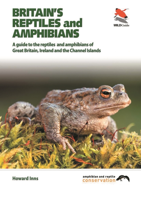 Britain's Reptiles and Amphibians : A guide to the reptiles and amphibians of Great Britain, Ireland and the Channel Islands, PDF eBook