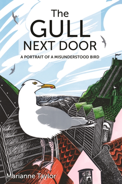 The Gull Next Door : A Portrait of a Misunderstood Bird, Hardback Book