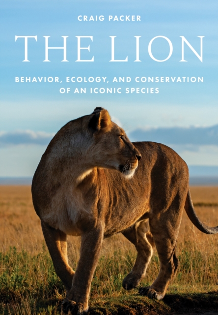 The Lion : Behavior, Ecology, and Conservation of an Iconic Species, Hardback Book