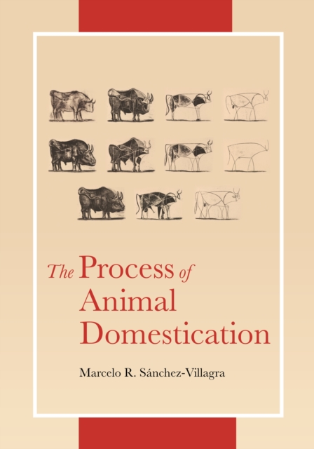 The Process of Animal Domestication, Paperback / softback Book