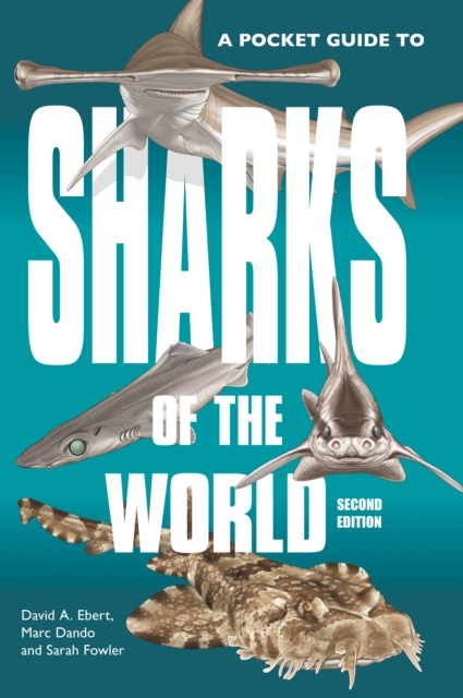 A Pocket Guide to Sharks of the World : Second Edition, Paperback / softback Book
