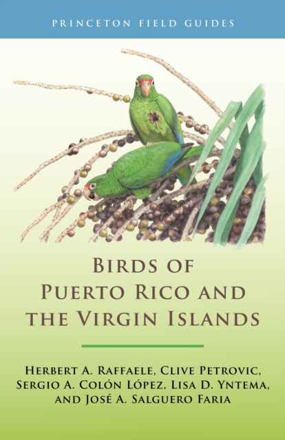Birds of Puerto Rico and the Virgin Islands : Fully Revised and Updated Third Edition, PDF eBook