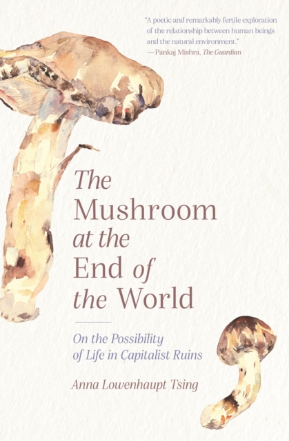 The Mushroom at the End of the World : On the Possibility of Life in Capitalist Ruins, Paperback / softback Book