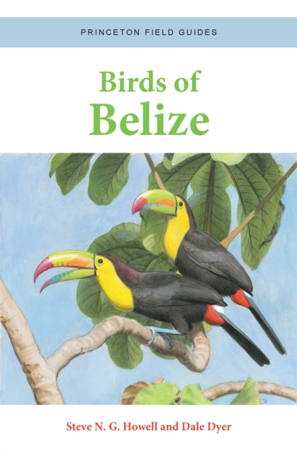 Birds of Belize, Paperback / softback Book