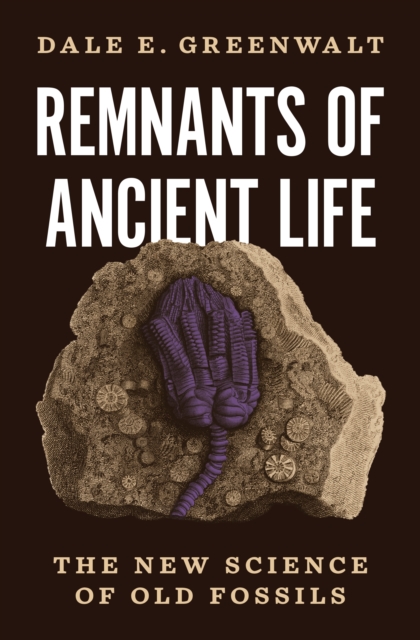 Remnants of Ancient Life : The New Science of Old Fossils, Hardback Book