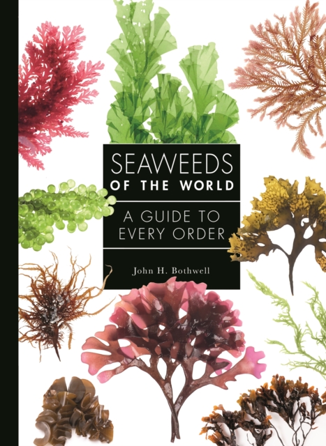 Seaweeds of the World : A Guide to Every Order, Hardback Book