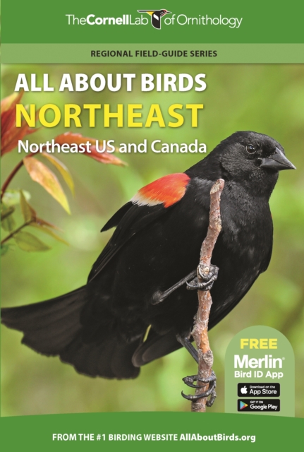 All About Birds Northeast : Northeast US and Canada, PDF eBook