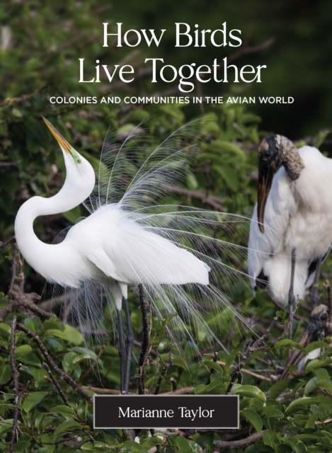 How Birds Live Together : Colonies and Communities in the Avian World, Hardback Book
