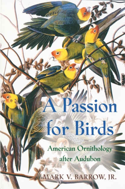 A Passion for Birds : American Ornithology after Audubon, EPUB eBook