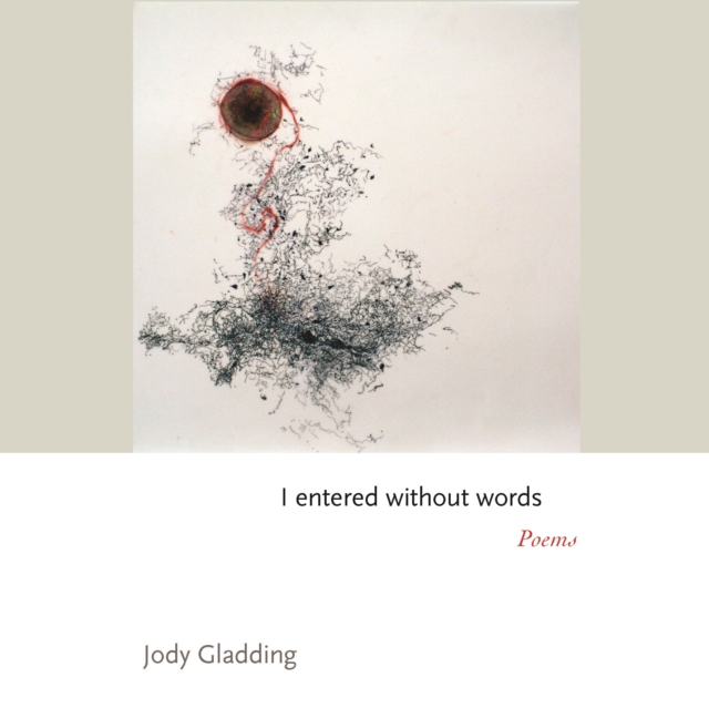 I entered without words : Poems, Paperback / softback Book
