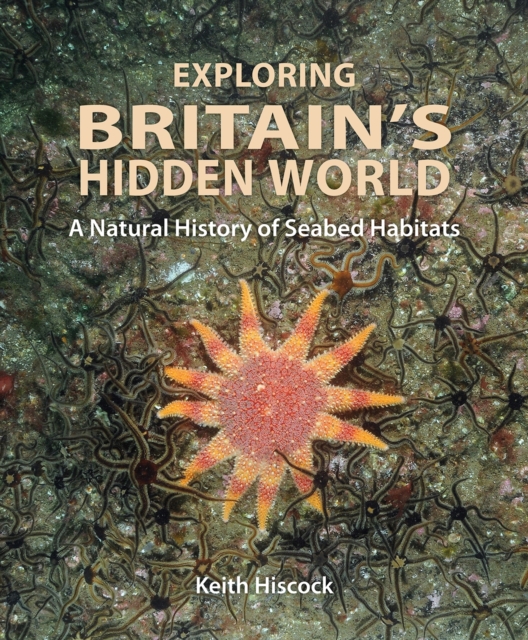 Exploring Britain's Hidden World : A Natural History of Seabed Habitats, PDF eBook
