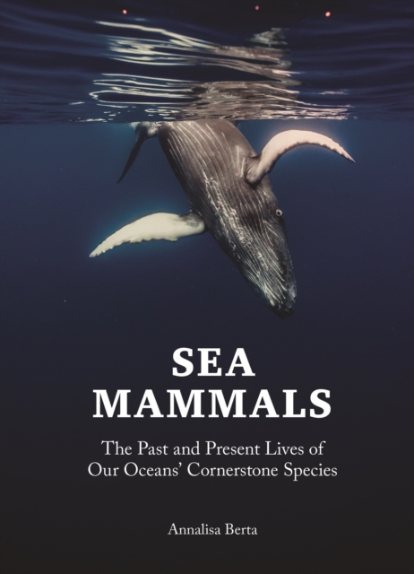 Sea Mammals : The Past and Present Lives of Our Oceans' Cornerstone Species, EPUB eBook