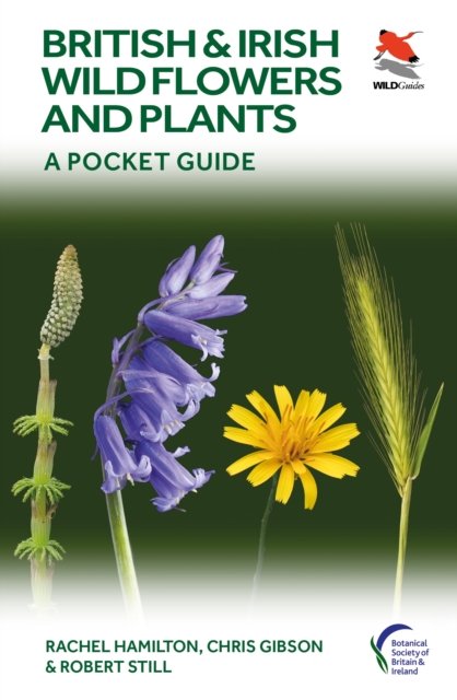 British and Irish Wild Flowers and Plants : A Pocket Guide, Paperback / softback Book