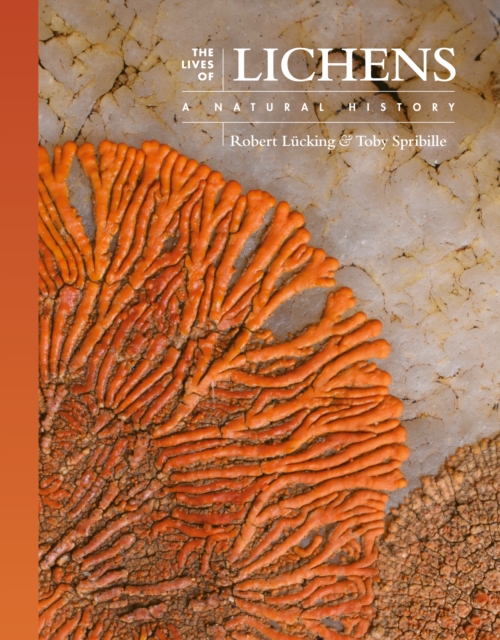 The Lives of Lichens : A Natural History, PDF eBook