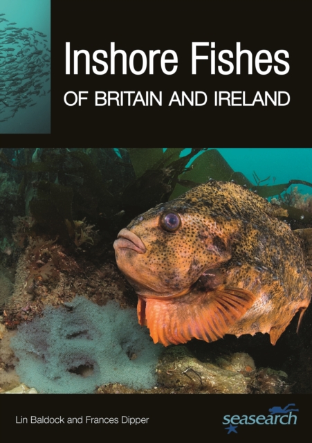 Inshore Fishes of Britain and Ireland, Paperback / softback Book