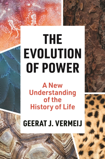 The Evolution of Power : A New Understanding of the History of Life, EPUB eBook