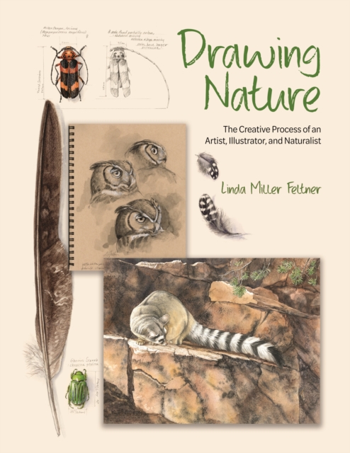 Drawing Nature : The Creative Process of an Artist, Illustrator, and Naturalist, Hardback Book