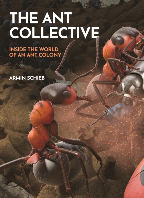 The Ant Collective : Inside the World of an Ant Colony, Hardback Book
