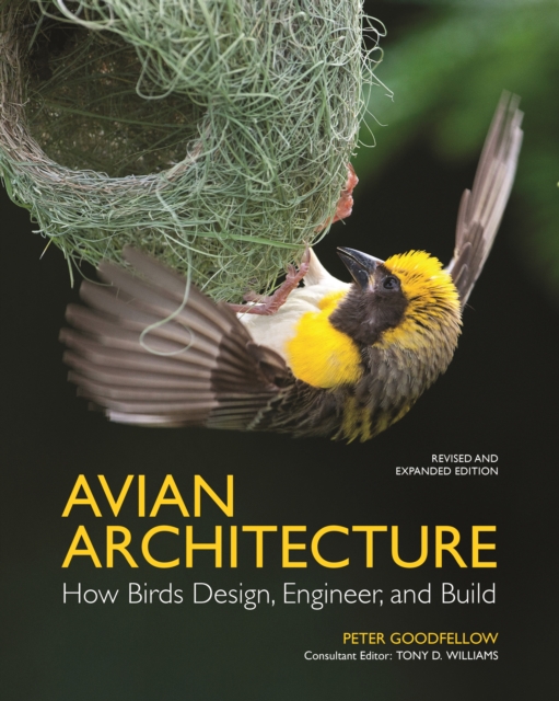 Avian Architecture  Revised and Expanded Edition : How Birds Design, Engineer, and Build, PDF eBook