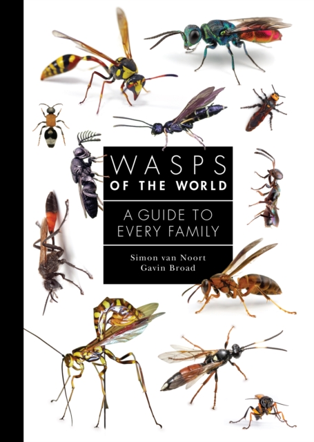 Wasps of the World : A Guide to Every Family, PDF eBook