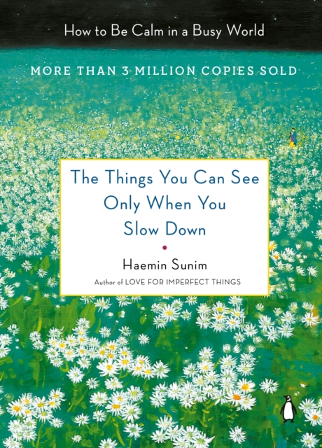 Things You Can See Only When You Slow Down, EPUB eBook