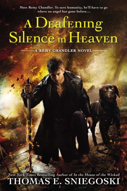 Deafening Silence In Heaven, EPUB eBook