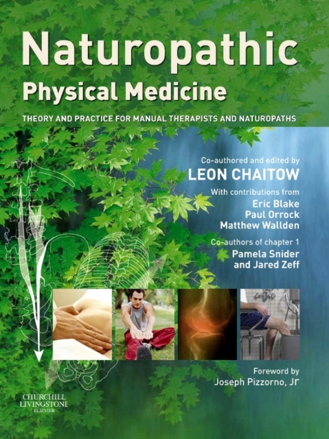 Naturopathic Physical Medicine : Theory and Practice for Manual Therapists and Naturopaths, PDF eBook