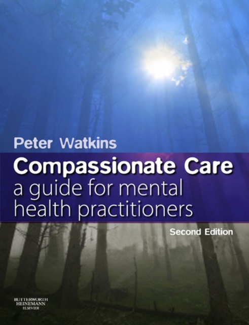 Mental Health Practice : A guide to compassionate care, EPUB eBook