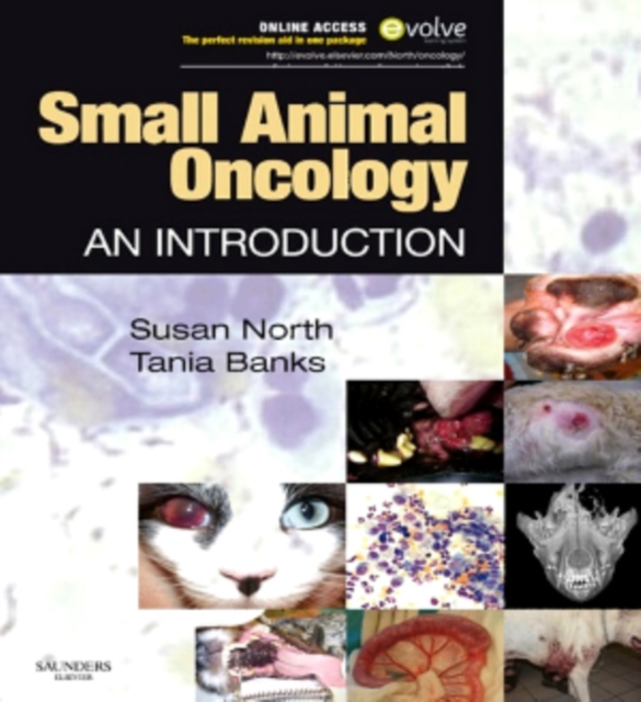 Small Animal Oncology E-Book : Small Animal Oncology E-Book, EPUB eBook