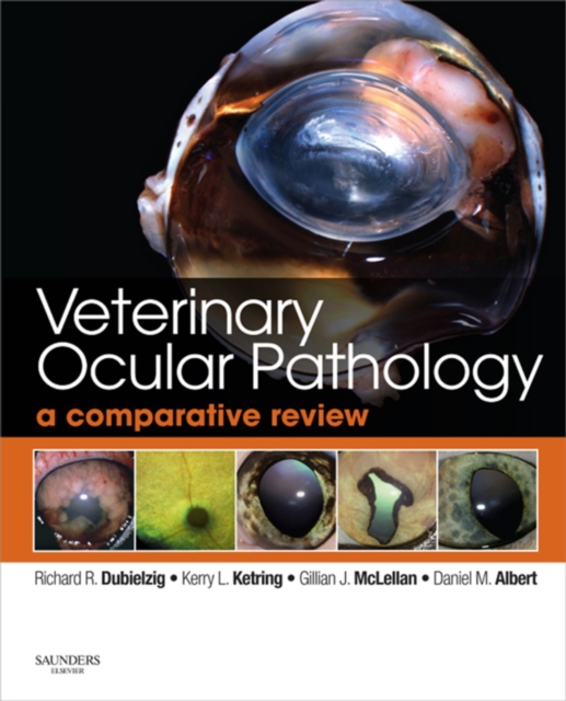 Veterinary Ocular Pathology : A Comparative Review, EPUB eBook