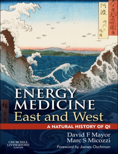 Energy Medicine East and West : a natural history of qi, EPUB eBook
