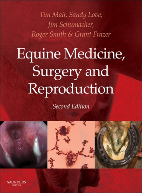 Equine Medicine, Surgery and Reproduction - E-Book : Equine Medicine, Surgery and Reproduction - E-Book, EPUB eBook
