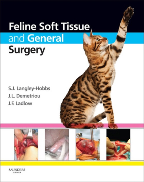 Feline Soft Tissue and General Surgery, EPUB eBook