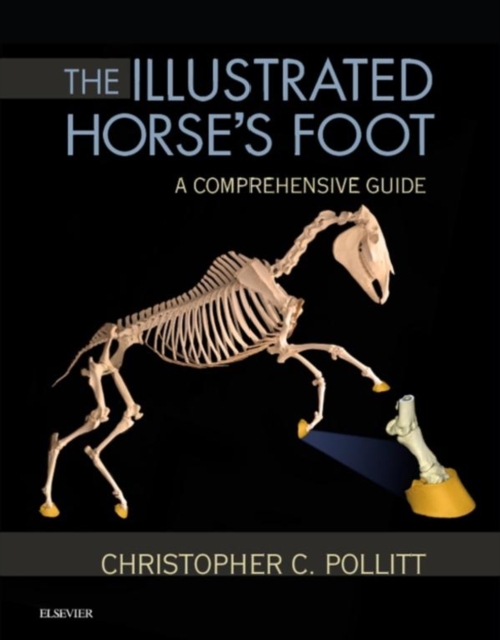 The Illustrated Horse's Foot : A comprehensive guide, EPUB eBook