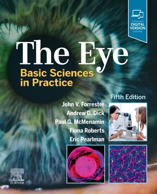 The Eye : Basic Sciences in Practice, Hardback Book