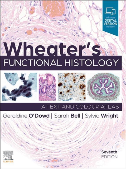 Wheater's Functional Histology, E-Book : A Text and Colour Atlas, EPUB eBook