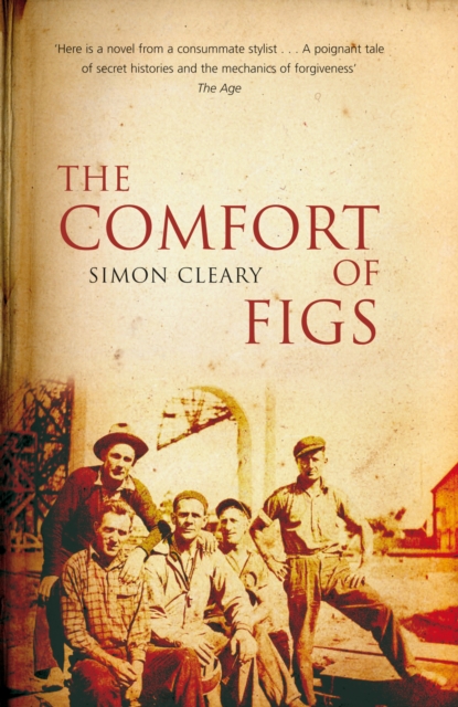 The Comfort of Figs, EPUB eBook