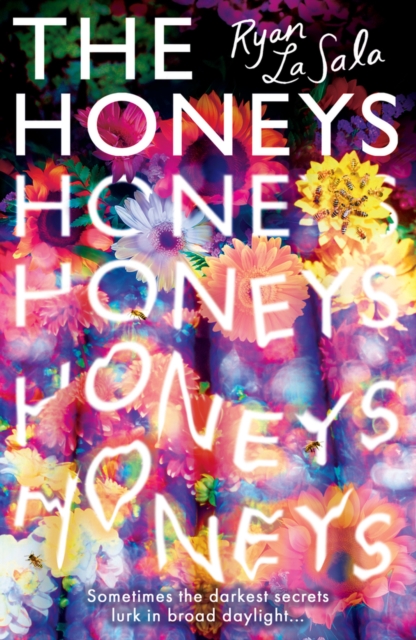 The Honeys, Paperback / softback Book