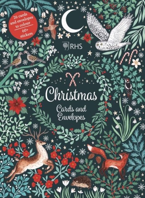 Christmas Cards and Envelopes, Paperback / softback Book