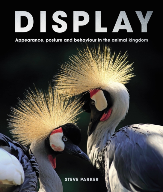 Display : Appearance, posture and behaviour in the animal kingdom, Hardback Book