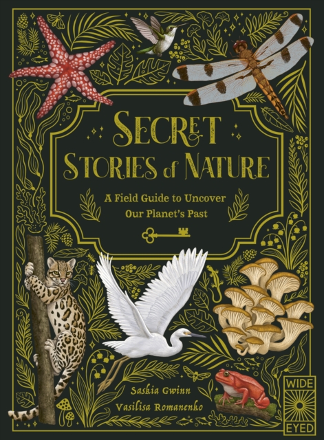 Secret Stories of Nature : A Field Guide to Uncover Our Planet's Past, Hardback Book