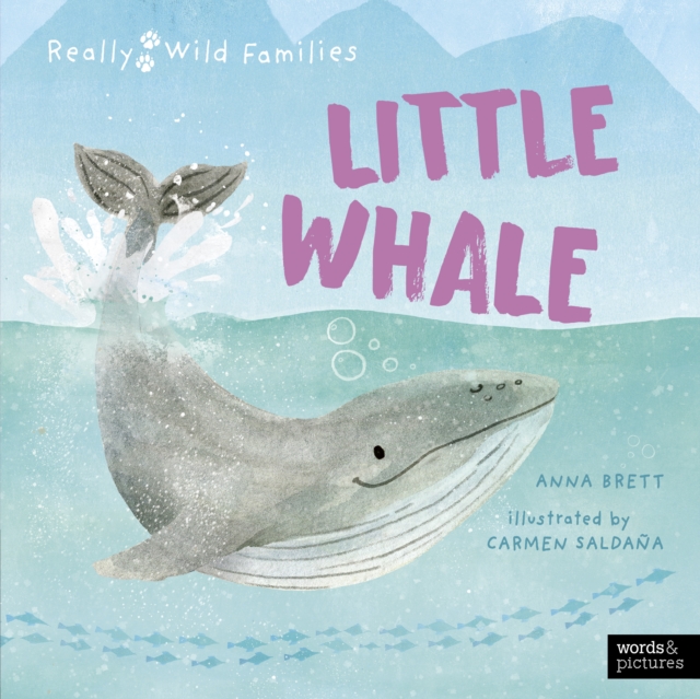 Little Whale : A Day in the Life of a Whale Calf, EPUB eBook