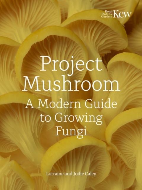 Project Mushroom : A Modern Guide to Growing Fungi, Hardback Book