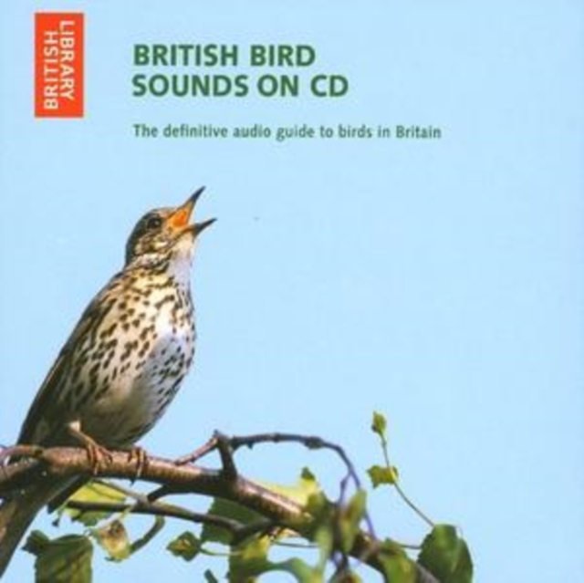 British Bird Sounds : The Definitive Audio Guide to Birds in Britain, CD-Audio Book