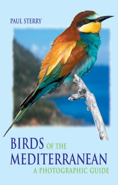 Birds of the Mediterranean : A Photographic Guide, Paperback / softback Book