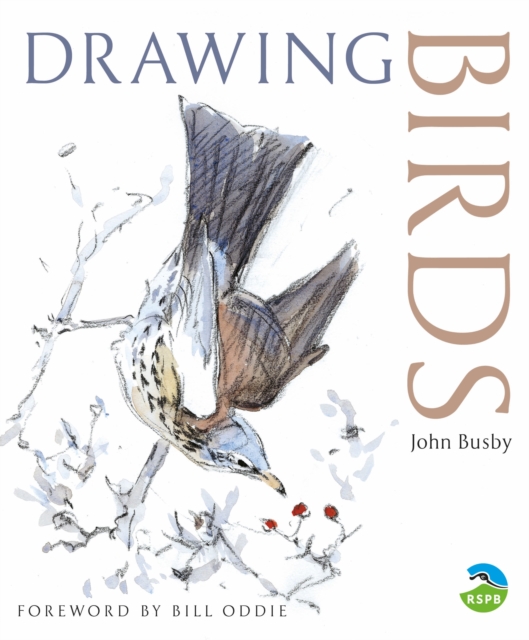 Drawing Birds, Paperback / softback Book