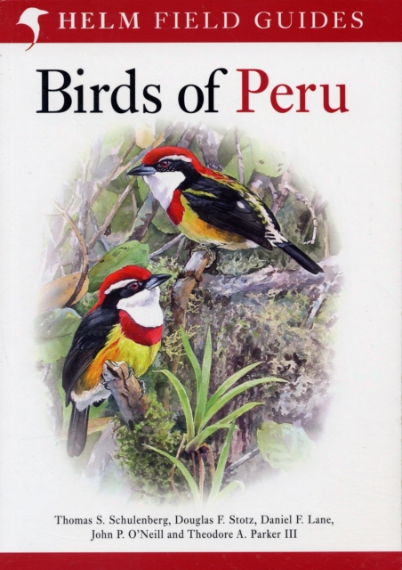 Field Guide to Birds of Peru, Paperback / softback Book