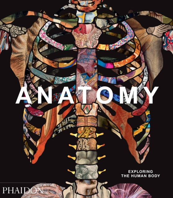 Anatomy : Exploring the Human Body, Hardback Book