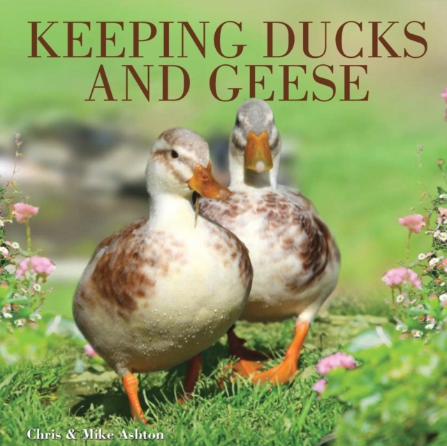 Keeping Ducks and Geese, Paperback / softback Book